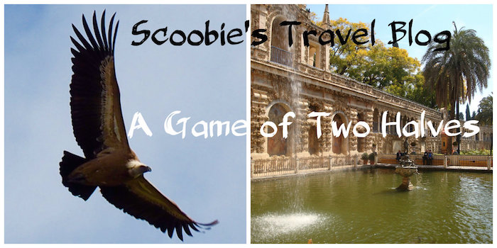 Scoobie’s Travel Blog – A Game of Two Halves