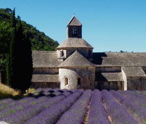 L'Abbaye de Sénanque, Provence, France