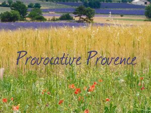 Provocative Provence