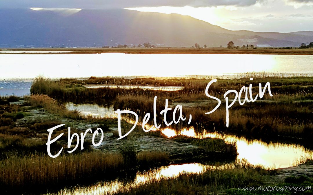 Ebro Delta Delights