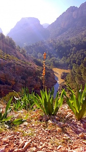 Hoyo Valley, Caminito del Rey, Spain