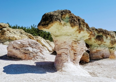 Beliplast Stone Mushrooms, Bulgaria