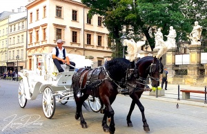 Krakow horse-drawn carriages, Krakov,Poland