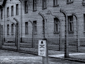 Auschwitz's haunting vision,Poland