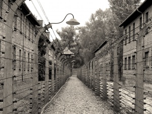 Alleyways of wire, Auschwitz,Poland