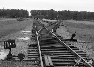 Birkenau's Death Track railway, Poland