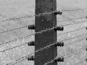 Birkenau's Barbed Wire fencing, Birkenau, Poland