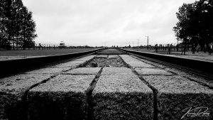 Birkenau railway, Poland