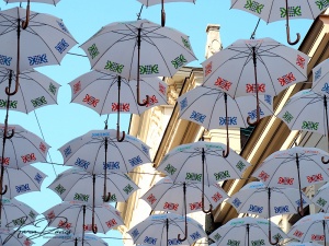 Nedbalka Street Umbrellas, Bratislava, Slovakia