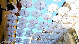 Bratislava umbrellas, Nedbalka Street, Slovakia