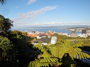 Wellington panorama and Botanical Gardens, New Zealand