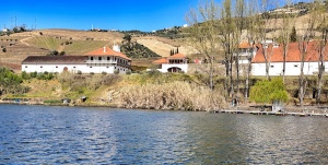 Bomfim from the river,Pinhão,Portugal