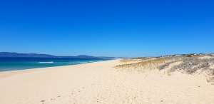 Comporta beach,Portugal
