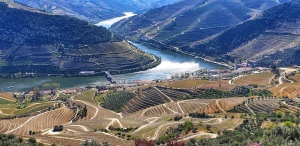 Douro River Valley at Pinhão,Portugal