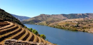 Douro Valley vineyards,Portugal