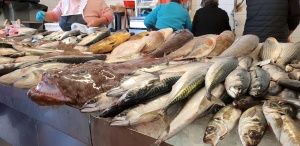 Costa Nova fish market,Portugal