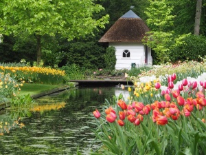 Keukenhof gardens,The Netherlands