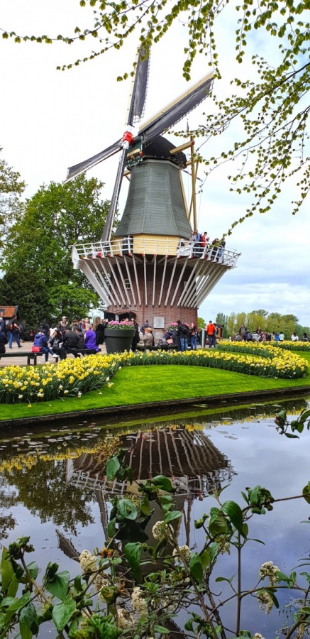 Keukenhof windmill,The Netherlands
