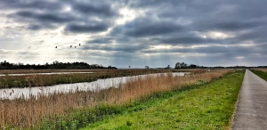 Giethoorn wetlands, The Netherlands