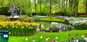 Keukenhof gardens, Lisse,The Netherlands