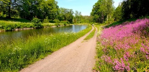 Gota canal, tow path and flowers, Sweden