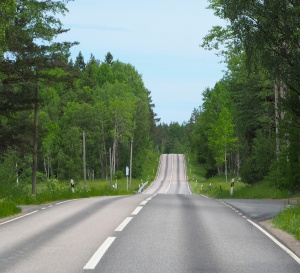 Sweden's Roads
