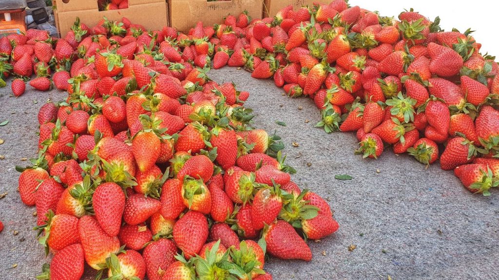 fresh produce sold in Morocco's souks
