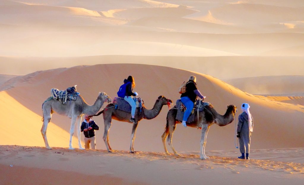 Camel train in the Sahara desert
