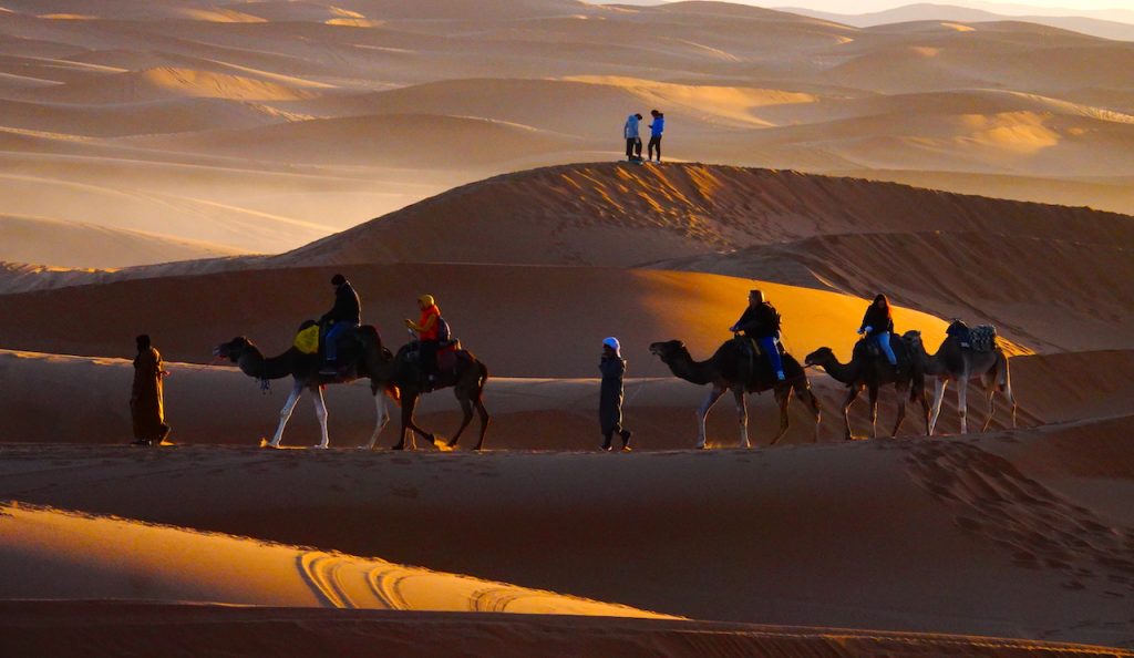 Sunrise caravan in the Sahara desert.
