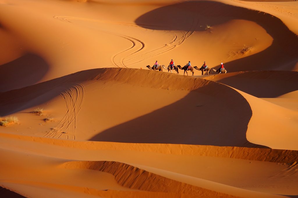 Archetypal desert landscape