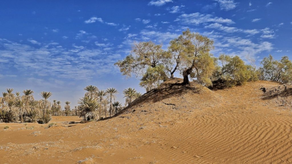 Desert landscape from  M'Hamid