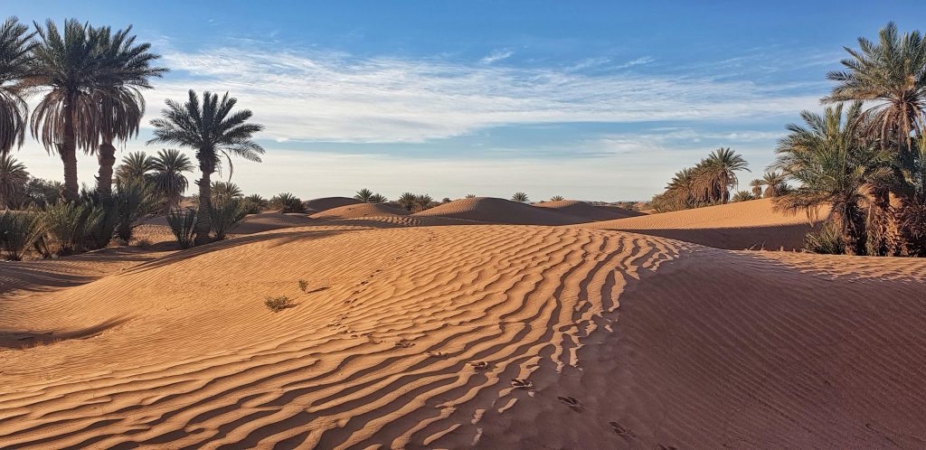 Desert landscape, Sahara of Morocco