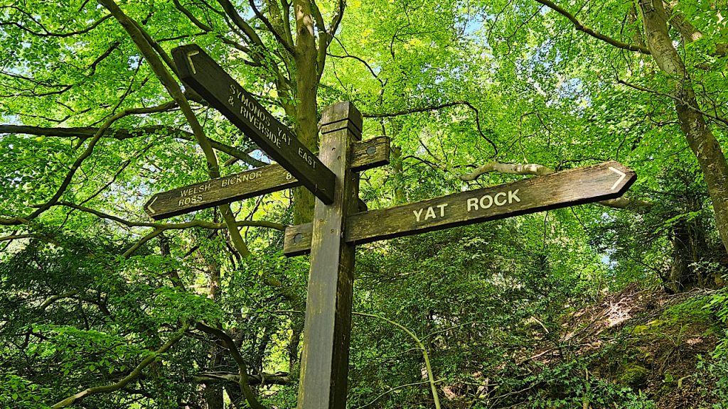 Great signposts for the Symonds Yat Walk