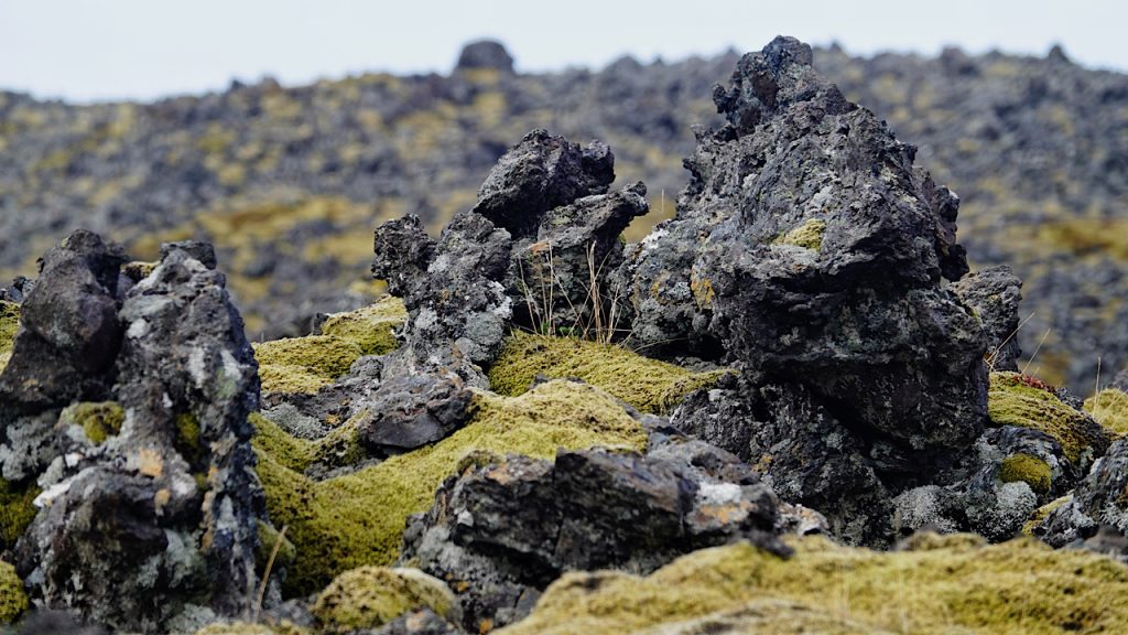 Lava fields common on Snæfellsnes Peninsula 
